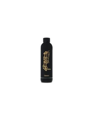 Borraccia termica geolier 500 ml con cassa bluetooth nera
